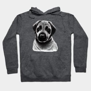 Anatolian Shepherd Puppy Hoodie